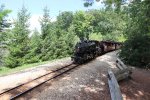 Milwaukee County Zoo Railway #1924